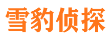 西平市侦探公司